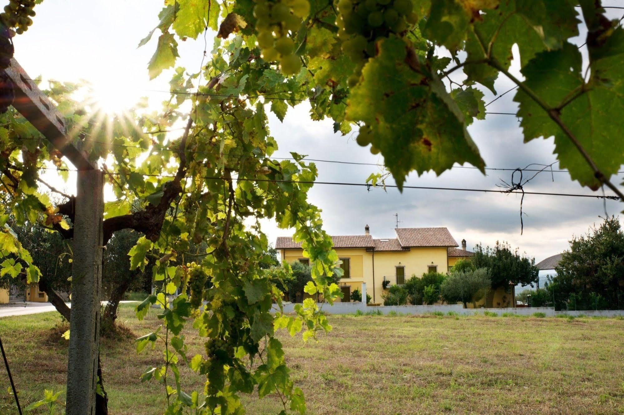 Agriturismo Il Casolare Di Nonno Mario Manoppello Екстериор снимка